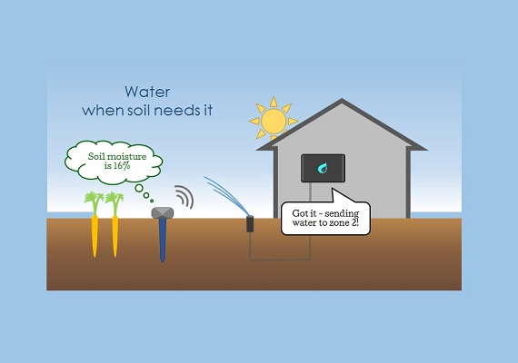 The present invention relates to a moisture meter. Many people water their plants; however, it can be difficult to determine moisture content of the soil on a daily basis.