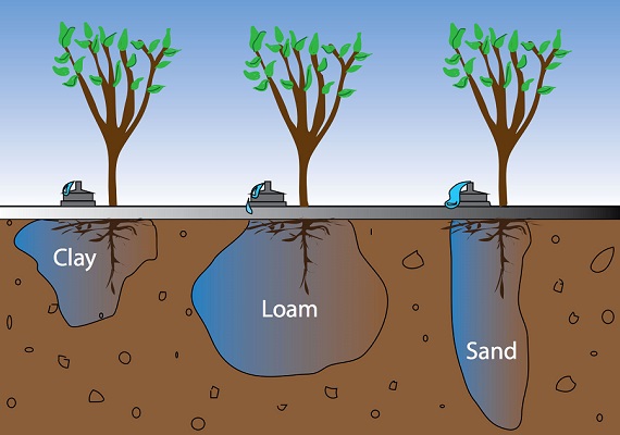 Overwatering plants results in a considerable time investment for the user and wastes water.
