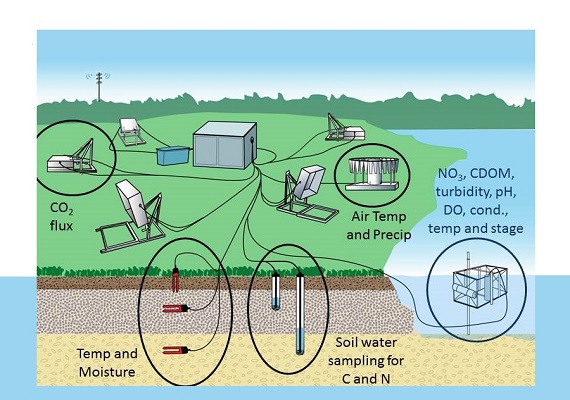 Measure the volumetric water content of soil makes it ideal for performing experiments in courses such as soil science, agricultural science, environmental science, horticulture, botany, and biology.