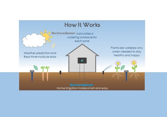 Measuring the dielectric permittivity of the soil, which is a function of the water content.